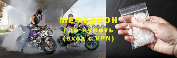 сатива Волоколамск