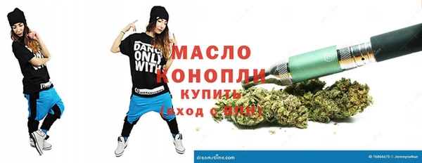 сатива Волоколамск