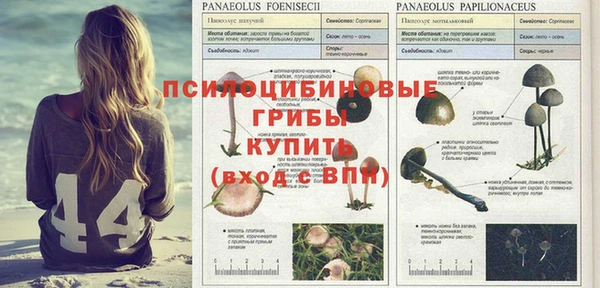 молекула духа Верхнеуральск