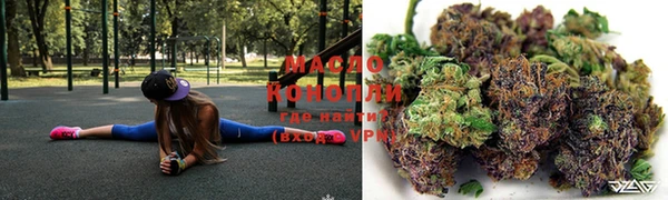 сатива Волоколамск