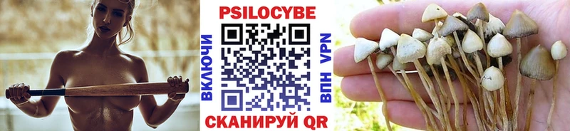 Псилоцибиновые грибы ЛСД  Десногорск 